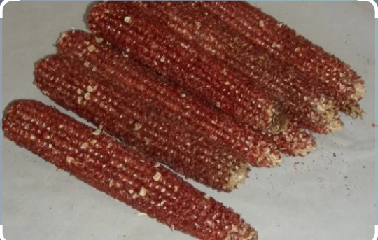 Red corn cob